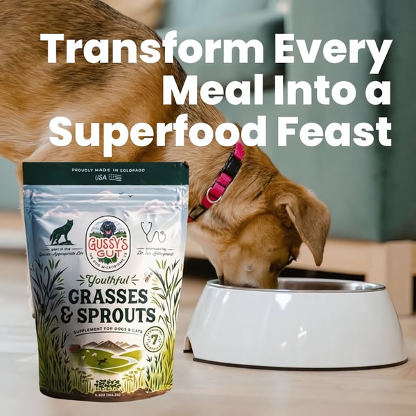 A high-contrast, product-focused ad for a pet supplement featuring a clear benefit-driven headline overlaying a natural, everyday feeding scene.